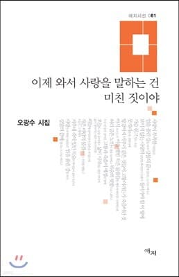 이제 와서 사랑을 말하는 건 미친 짓이야 표지