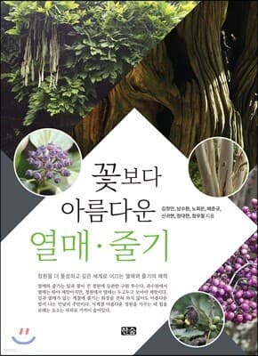 꽃보다 아름다운 열매 줄기 표지