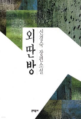 외딴방 cover