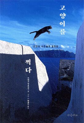 고양이를 찍다 표지