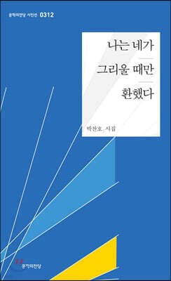 나는 네가 그리울 때만 환했다 표지