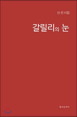 갈릴리의 눈 표지