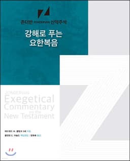 강해로 푸는 요한복음 표지