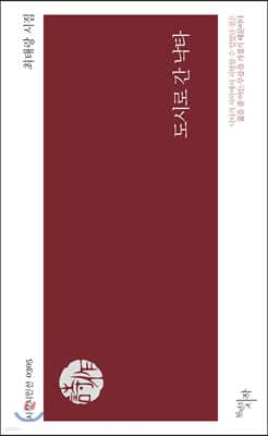 도시로 간 낙타 표지