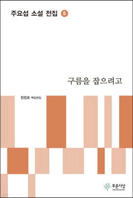 구름을 잡으려고 표지