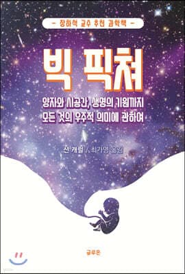 빅 픽쳐 표지