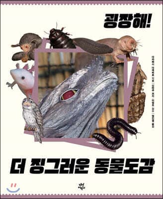 굉장해! 더 징그러운 동물도감 표지