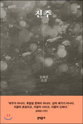 진주 표지