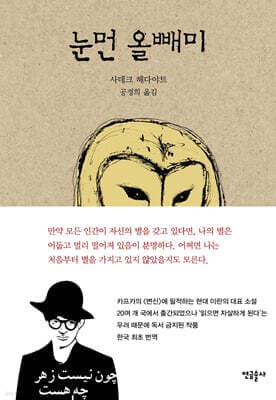 눈먼 올빼미 표지