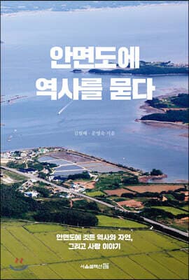 안면도에 역사를 묻다 표지
