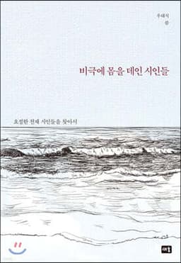 비극에 몸을 데인 시인들 표지