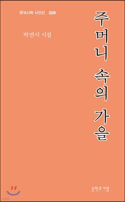 주머니 속의 가을 표지