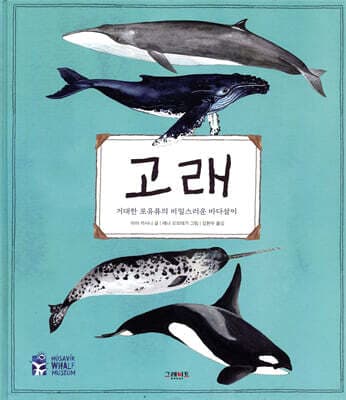 고래 표지