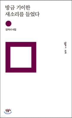 방금 기이한 새소리를 들었다 표지