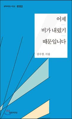 어제 비가 내렸기 때문입니다 표지