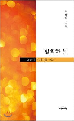 발칙한 봄 표지