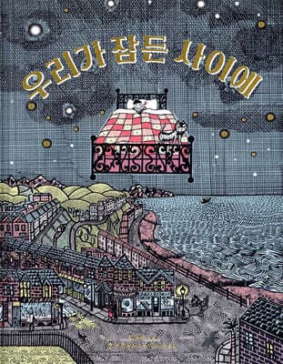 우리가 잠든 사이에 표지