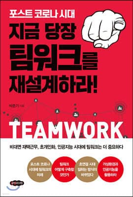 지금 당장 팀워크를 재설계하라! 표지