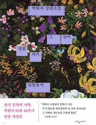 그 산이 정말 거기 있었을까 표지